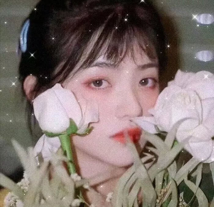 红色八爪女
